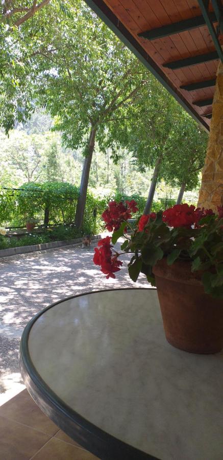 Cortijo El Cercadillo Guest House Bedmar y Garciez Eksteriør bilde