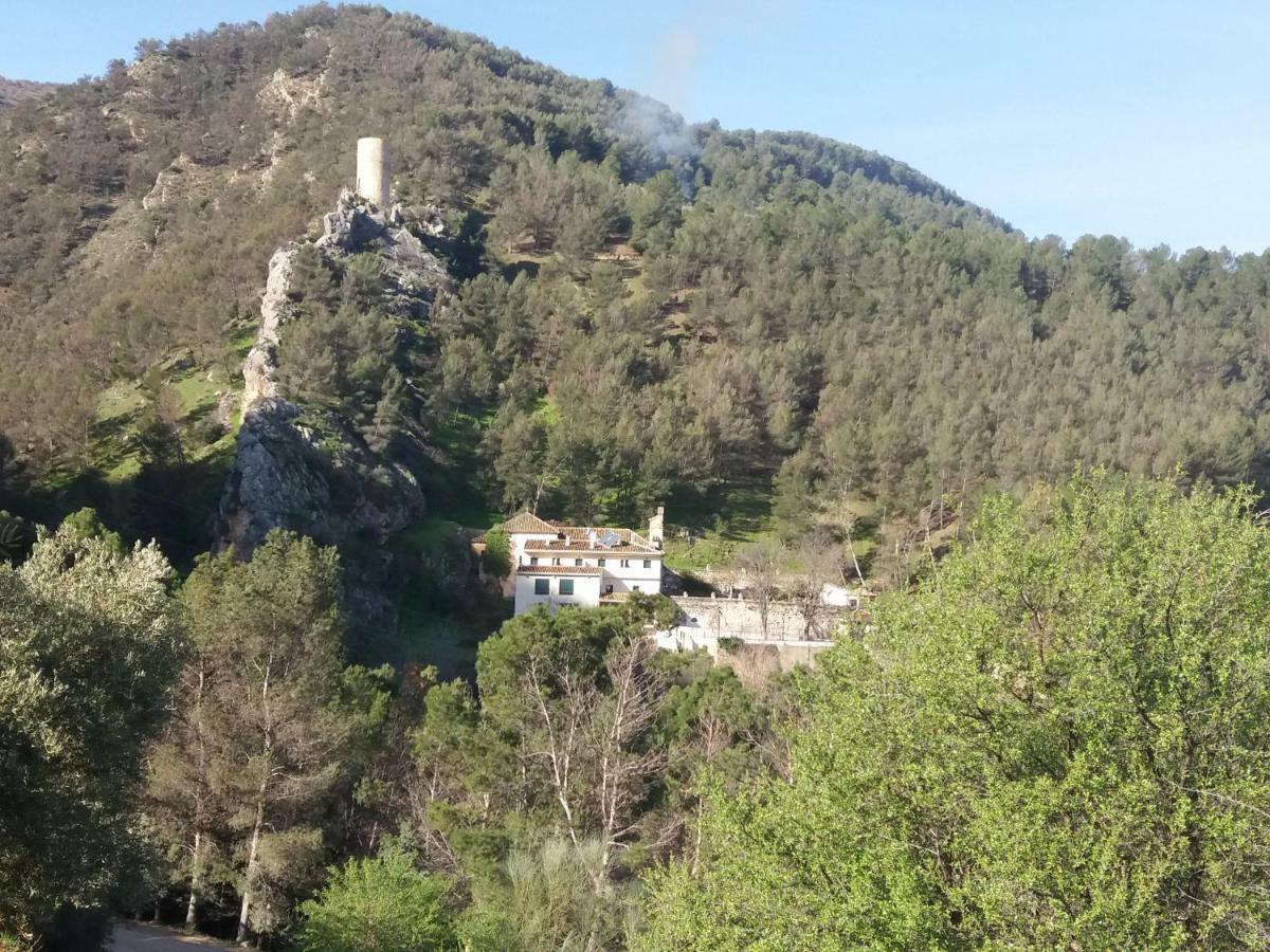 Cortijo El Cercadillo Guest House Bedmar y Garciez Eksteriør bilde